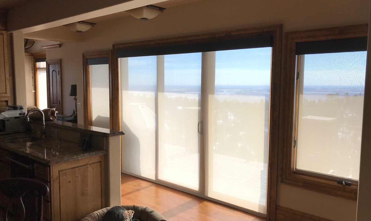 Lutron wireless shades